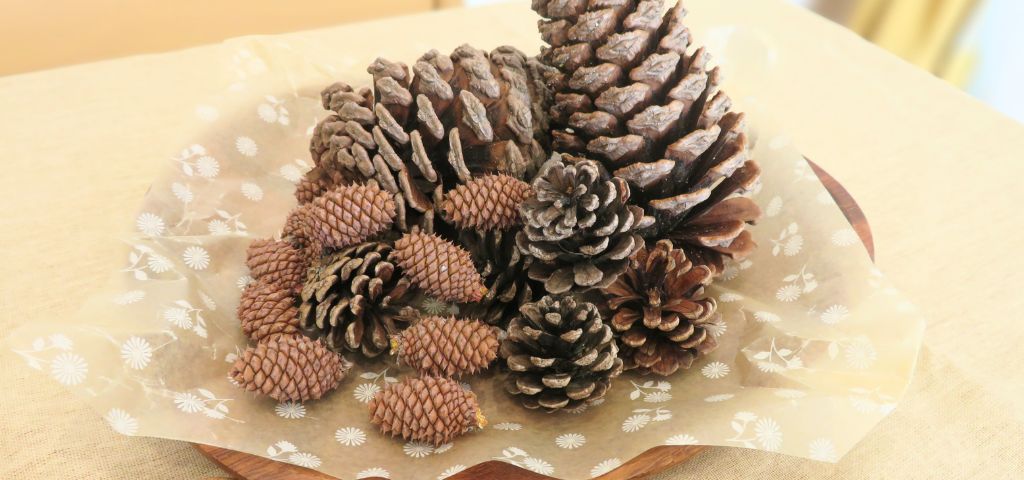 冬のパーティーにあしらった松ぼっくり
