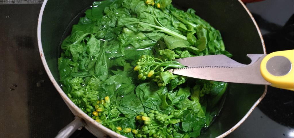 茹でた菜の花のつぼみを切り取っています